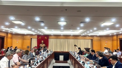 بین الاقوامی جوہری توانائی ایجنسی کے وفد نے ویتنام کے جوہری توانائی کے بنیادی ڈھانچے کی تعمیر میں مدد کے لیے اہم سفارشات پیش کیں۔