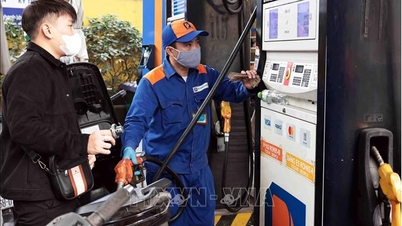 Bãi bỏ lộ trình áp dụng tỷ lệ phối trộn nhiên liệu sinh học với nhiên liệu truyền thống