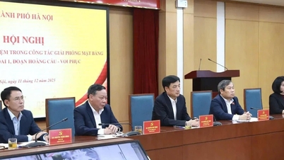 ہنوئی پارٹی کے سکریٹری Nguyen Duy Ngoc: رنگ روڈ 1 کے لیے زمین کی منظوری کے تجربے کو بڑھانا تاکہ دوسرے منصوبوں کی پیش رفت کو یقینی بنایا جا سکے۔