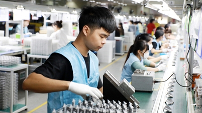 Układy zbiorowe pracy na rzecz pracowników.