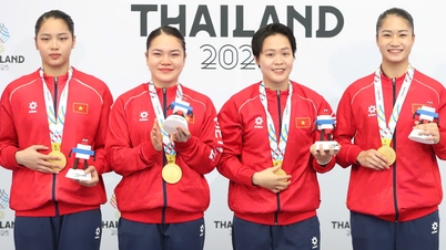 پخش زنده بازی‌های SEA در 11 دسامبر: شنا یازدهمین مدال طلا را به خانه آورد.