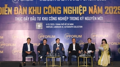 Skapa nya utvecklingsområden för Vietnams industriella ekosystem.