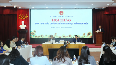 ការផ្តល់មតិកែលម្អដើម្បីកែលម្អសេចក្តីព្រាងនៃកម្មវិធីអប់រំមត្តេយ្យសិក្សាថ្មី។