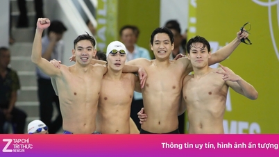 Triplete de medallas de oro para la natación vietnamita en los 33º Juegos del Sudeste Asiático.