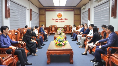 O vice-presidente do Comitê Popular Provincial, Nguyen Tuan Anh, trabalha com a empresa GHA e uma delegação de especialistas estrangeiros.