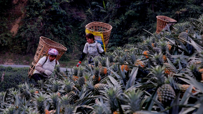 Ban Lau está passando por uma transformação significativa em seus esforços de redução da pobreza.