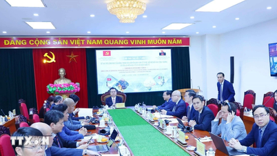 ভিয়েতনাম এবং কিউবা সামষ্টিক অর্থনৈতিক স্থিতিশীলতায় পার্টির অগ্রণী ভূমিকা নিয়ে মতবিনিময় করেছে।