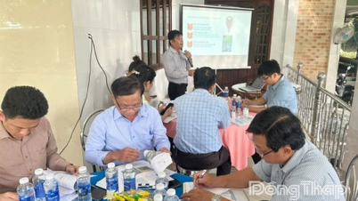 Kết quả bước đầu của mô hình Khắc phục vùng trồng sầu riêng bị nhiễm Cadimi