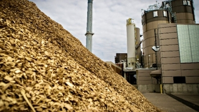 Kelulusan dasar pelaburan untuk Projek Loji Janakuasa Biojisim An Giang 1.