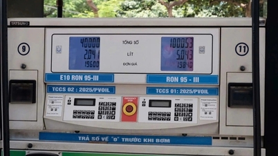 បោះបង់ចោលផែនទីបង្ហាញផ្លូវចាស់ ប្រជាជននឹងត្រូវប្រើប្រាស់សាំង E10 និង E5 ចាប់ពីខែមិថុនា ឆ្នាំ 2026 តទៅ។