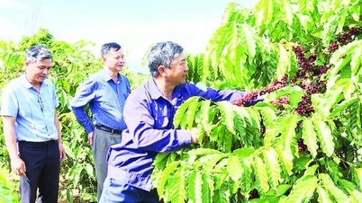 تعزيز القاعدة السياسية من المستوى الشعبي.