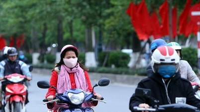 Nghe An: Proactief reageren op strenge kou.