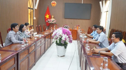 Leiders van Dong Thaps kranten, radio- en televisiestations werkten samen met de gemeente Thanh Binh om de propaganda-inspanningen te coördineren.