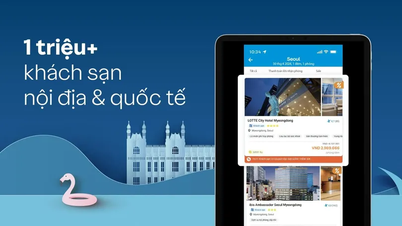 پرتعیش تعطیلات کے لیے ہا لانگ میں سرفہرست ہوٹل اور ریزورٹس۔