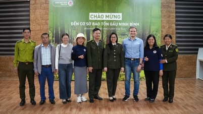 A Ninh Binh Medvevédelmi Központ túrákat és közösségi tevékenységeket szervez.