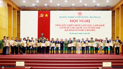 331 kollektiver og enkeltpersoner ble rost for sin deltakelse i oppryddingskampanjen i landdatabasen.