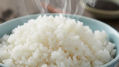Cơm nguội và cơm nóng: loại nào ít làm tăng đường huyết hơn?