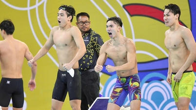 Vietnam's sports goldmine shines brightly.