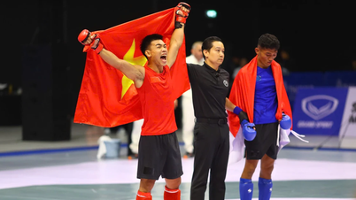 Бійці ММА та золота медаль незламного духу.