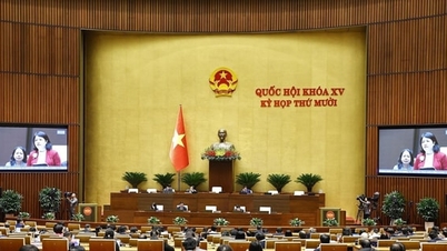 ຂ່າວພິເສດໃນໜັງສືພິມຮ່າໂນ້ຍມອຍສະບັບພິມ, ວັນທີ 12 ທັນວາ 2025.