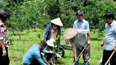 Cooperative economics creates a civilized and modern agricultural system.