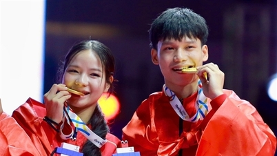 Вьетнамское тхэквондо превосходит все свои пределы.