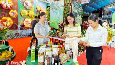 BINE AȚI VENIT LA PRIMUL CONGRES AL ASOCIAȚIEI FERMIERILOR DIN PROVINCIA DONG NAI, SEMESTRUL 2025-2030. Fermieri care aspiră să construiască o agricultură prosperă.