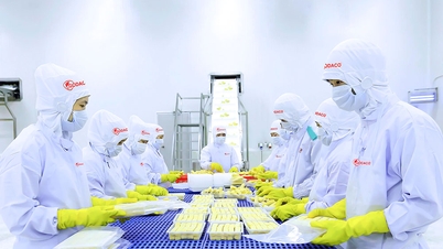 Сосредоточьтесь на развитии перерабатывающей промышленности.