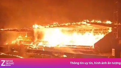 هواداران پس از سقوط این باشگاه به دسته پایین‌تر، ورزشگاه را به آتش کشیدند.