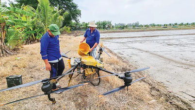 Foco na promoção da transformação digital na agricultura.