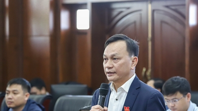 Proponowanie rozwiązań mających na celu pokonanie wąskich gardeł w celu osiągnięcia dwucyfrowego wzrostu.