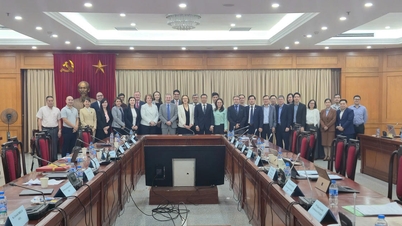 IAEA는 닌투안 원자력 발전소 프로젝트와 관련하여 베트남에 중요한 권고 사항을 발표했습니다.