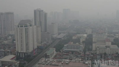 Дрібні частинки пилу непомітно потрапляють в організм людини; що можна зробити, щоб захистити наше здоров'я?