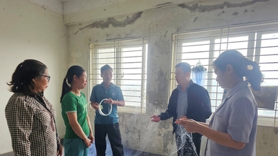 Da Nang heeft zijn inspanningen om armoede te bestrijden in principe voltooid.