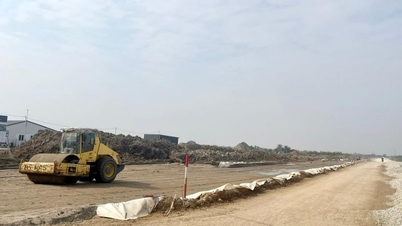 Menghilangkan halangan berkaitan tanah untuk projek Taman Perindustrian Tien Thanh.