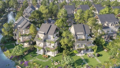 मध्य वियतनाम के सबसे बड़े आर्थिक केंद्र के बीचोंबीच स्थित सेंट्रल आइलैंड के विला इतने आकर्षक क्यों हैं, इसके कारणों को उजागर करना।