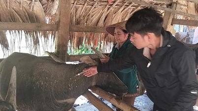 Vaccinați animalele în timpul sezonului toamnă-iarnă; nu așteptați până este prea târziu.