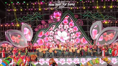 "ল্যাং সন পীচ ব্লসম ফেস্টিভ্যাল" ২০২৬ এর কার্যক্রম ৩ মাসেরও বেশি সময় ধরে চলবে।