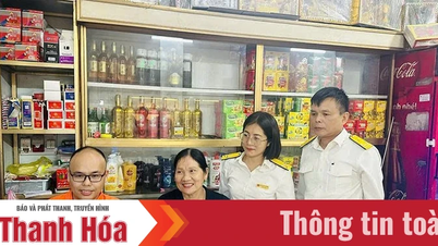 Переход от единовременного налога к налогообложению на основе декларации — создание импульса для развития домашнего бизнеса (Часть 1): Проблемы домашнего бизнеса в период перехода