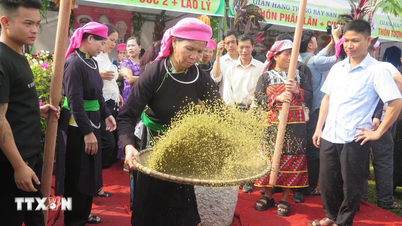 हरे चावल के फ्लेक्स - लाओ काई के लोगों के नव चावल महोत्सव में एक पवित्र स्वाद।