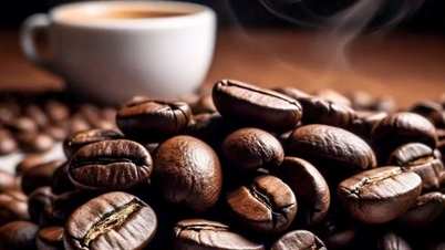 Prețurile produselor agricole la 12 decembrie 2025: Cafeaua crește ușor, piperul rămâne la un nivel ridicat.