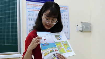 ຊຸດປຶ້ມແບບຮຽນທົ່ວໄປ: ຄວນໃຊ້ເກນໃດສຳລັບການຄັດເລືອກ?