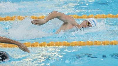 SEA Games 33: Dag 3 av tävlingen - Vietnamesisk sport förväntar sig en "regn av guldmedaljer" i viktiga discipliner.