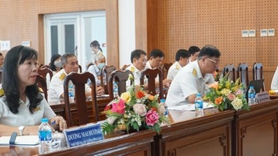 Навчання та впровадження Порталу досвіду для домогосподарств та індивідуального бізнесу.