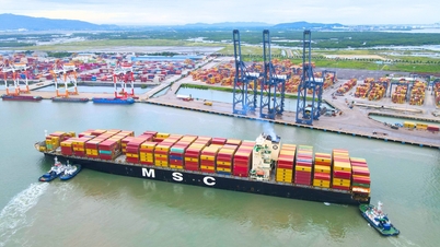 Vice premiärministern begärde att en strategi för att etablera ett internationellt maritimt centrum i Ho Chi Minh-staden skulle utvecklas.