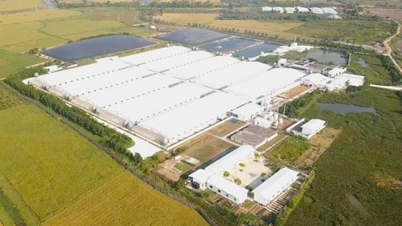 Verander je denkwijze van 'het bestrijden van de epidemie' naar 'proactieve ziektepreventie'.