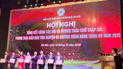 ຮ່າໂນ້ຍໃຫ້ກຽດແກ່ບຸກຄົນທີ່ໂດດເດັ່ນໃນການເຄື່ອນໄຫວມະນຸດສະທຳ.