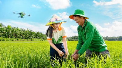 Phu My, sydvästra Vietnam, och jordbrukare bygger ett grönt och modernt jordbrukssystem.