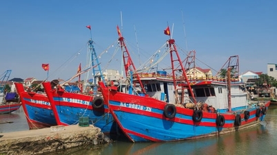 Quản lý nghiêm tàu cá mở ra cơ hội gỡ ‘thẻ vàng’ EC cho Nghệ An