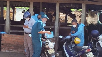 Quang Ngai renforce son équipe vétérinaire.